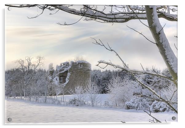 Hall Forest Castle Acrylic by Stuart Reid