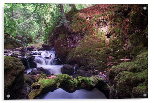  Rumbling Bridge Gorge Acrylic by Stuart Jack