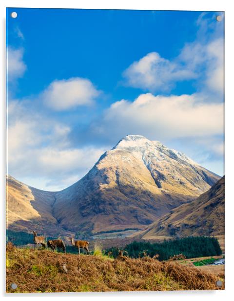 Serene Highland Stags Acrylic by Stuart Jack