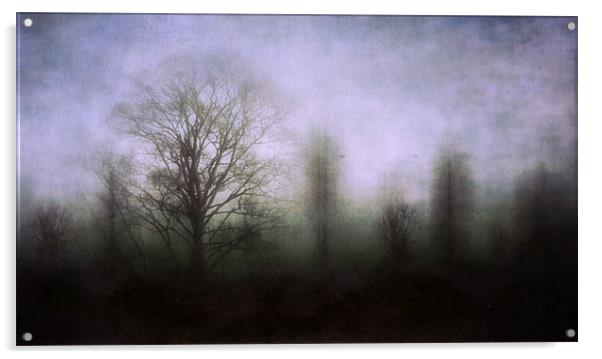 misty morning 2 Acrylic by Heather Newton