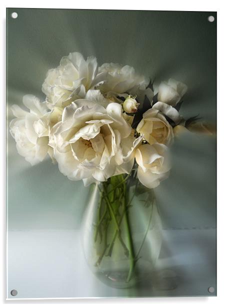 white rose posy Acrylic by Heather Newton