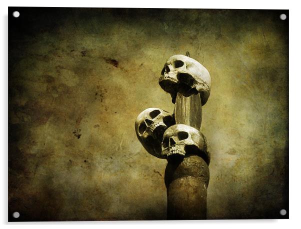 3 skulls Acrylic by Heather Newton