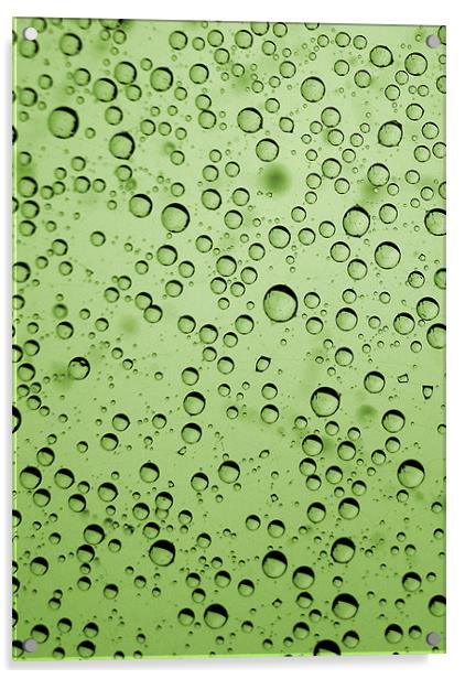 green bubbles Acrylic by Heather Newton