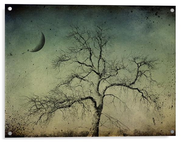 beneath a dark moon Acrylic by Heather Newton