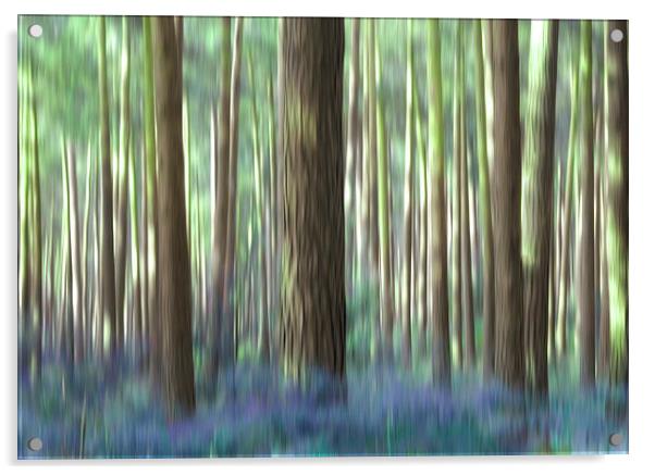 bluebell wood Acrylic by Heather Newton