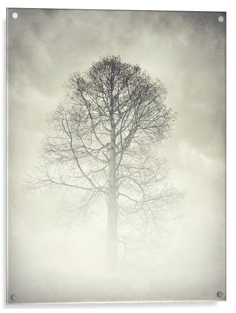 the winter tree Acrylic by Heather Newton