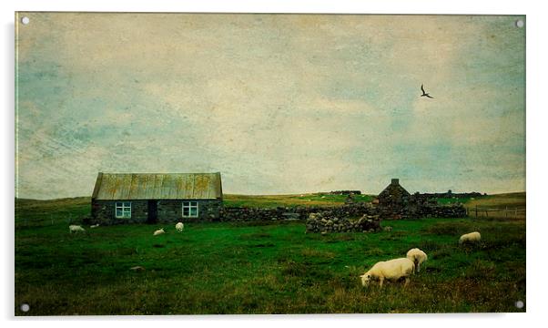 Shetland landscape Acrylic by Heather Newton