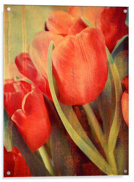 painted tulips Acrylic by Heather Newton