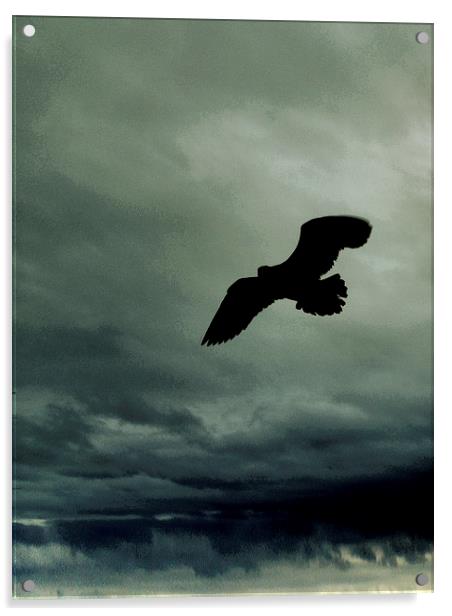 seagull over stormy seas  Acrylic by Heather Newton