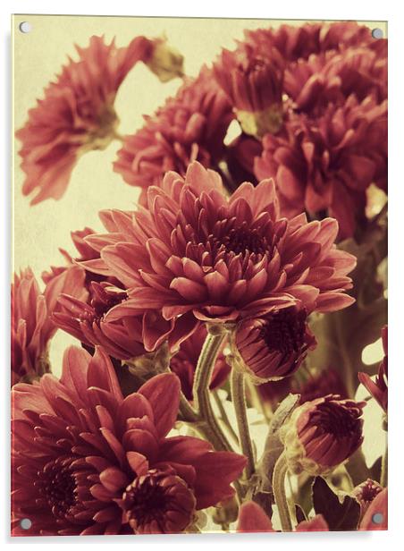  old fashioned chrysanthemums Acrylic by Heather Newton