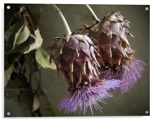 two thistles Acrylic by Heather Newton
