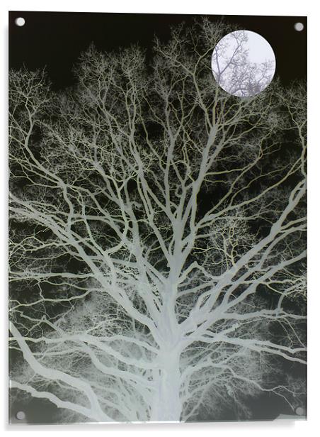 mist and moonlight Acrylic by Heather Newton