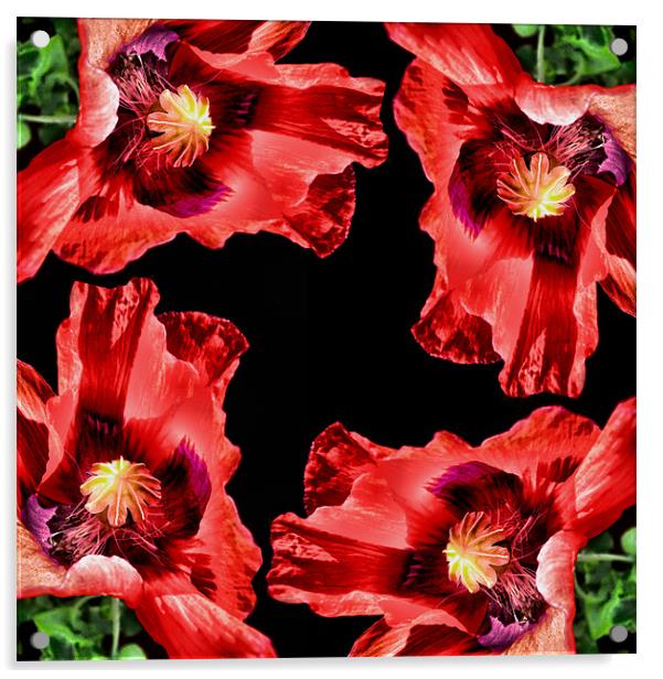 poppy square Acrylic by Heather Newton