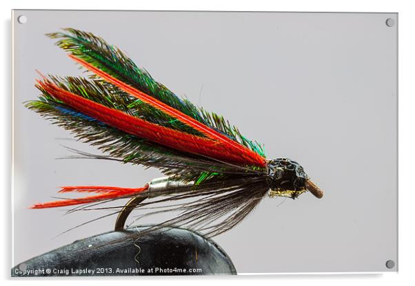 Trout fishing fly Acrylic by Craig Lapsley