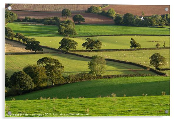 Mid Devon fields Acrylic by Pete Hemington