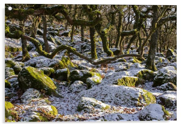 Black-a-Tor Copse Acrylic by Pete Hemington