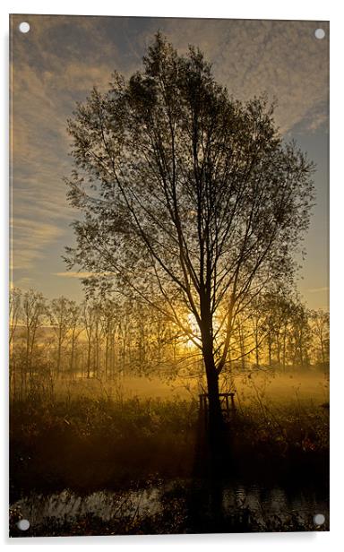 Morning mist through trees Acrylic by Pete Hemington
