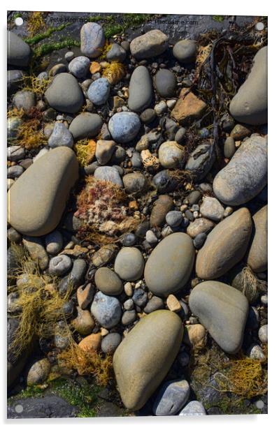 Pebblely beach Acrylic by Pete Hemington