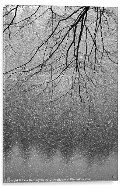 Snow and tree. Acrylic by Pete Hemington