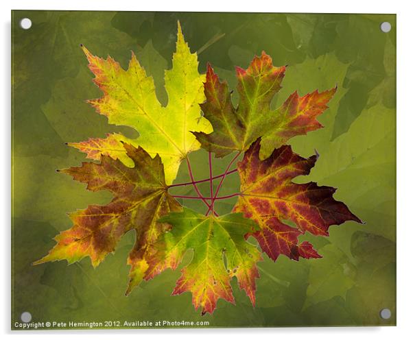 Autumn composition Acrylic by Pete Hemington