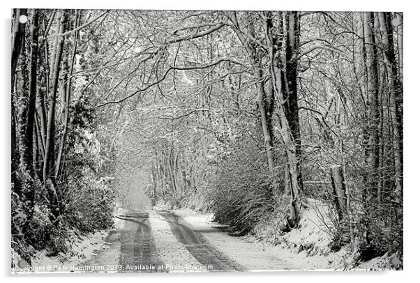 Snowy lane - in mono Acrylic by Pete Hemington