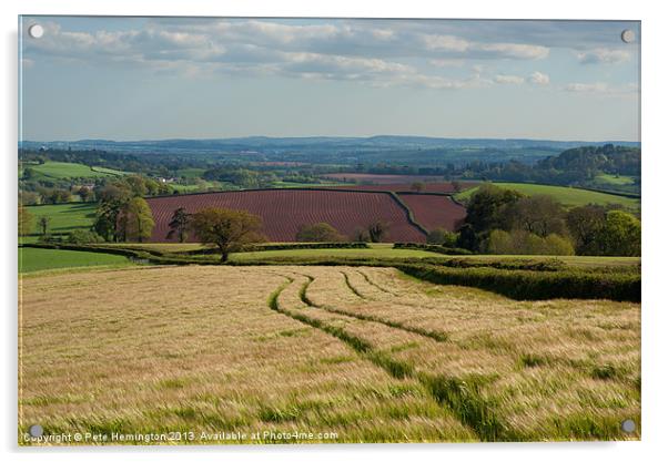 Devon Rural Scene Acrylic by Pete Hemington