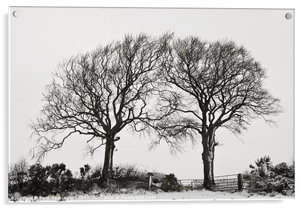 Two snowy trees Acrylic by Pete Hemington