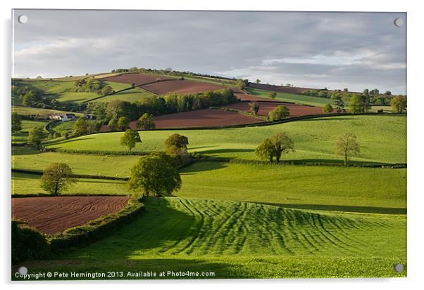 Devon Rural scene Acrylic by Pete Hemington
