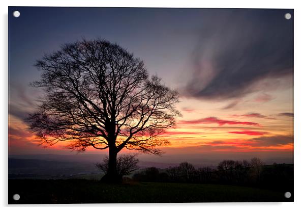 Hill Top Tree and Sunset Acrylic by Pete Hemington