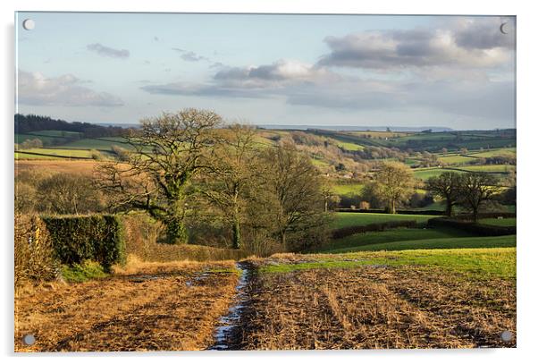 Farmland in Mid Devon Acrylic by Pete Hemington
