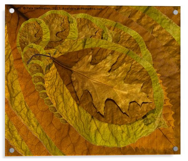 Leaf abstract Acrylic by Pete Hemington