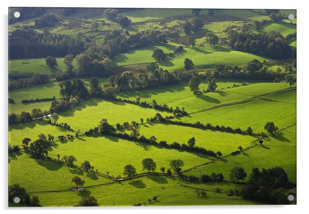 Newlands valley in the Lake District Acrylic by Pete Hemington