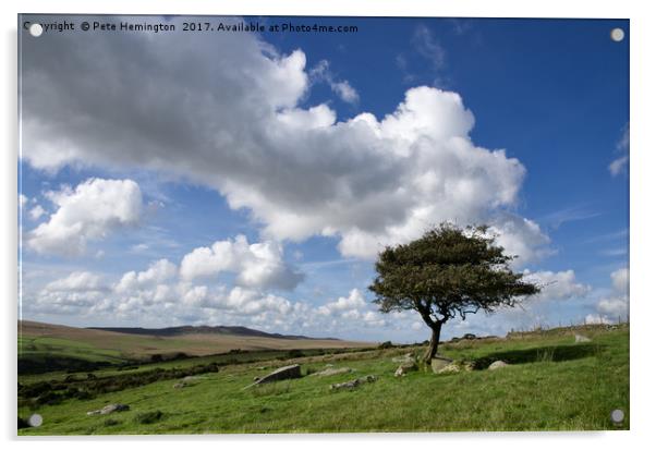 Lone tree on Bodmin Moor Acrylic by Pete Hemington