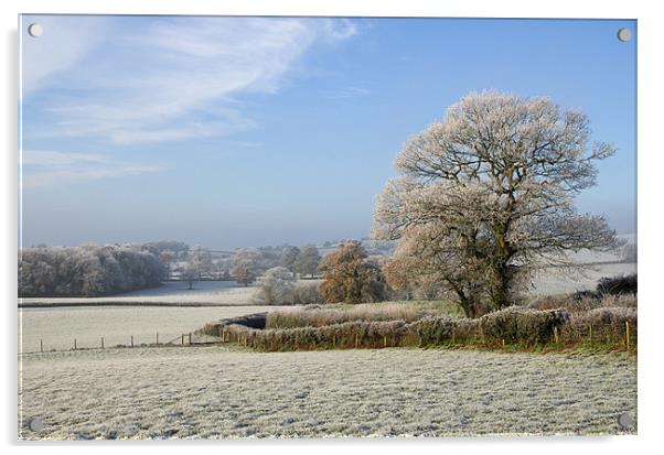 Frosty morning in Devon Acrylic by Pete Hemington