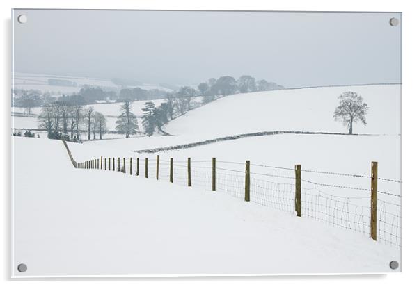 Snowy fields Acrylic by Pete Hemington