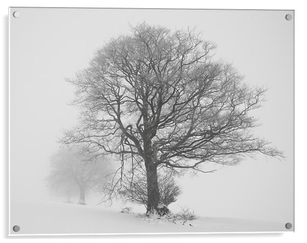 Misty trees Acrylic by Pete Hemington