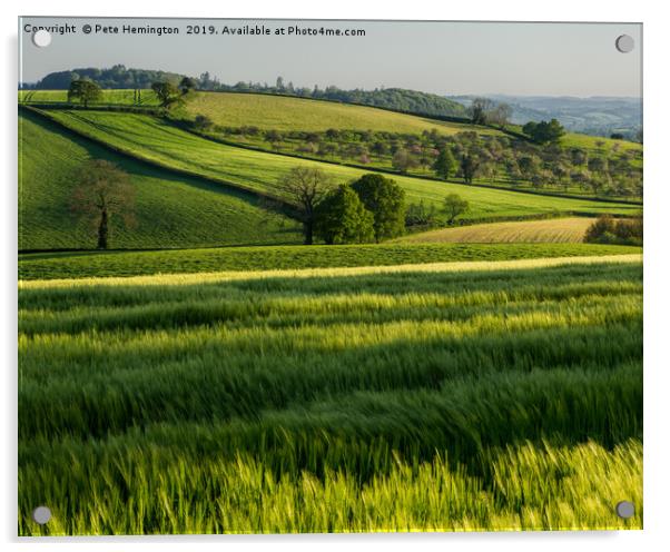 Mid Devon farm land Acrylic by Pete Hemington