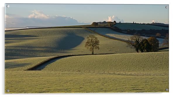 Frosted Fields, Bradninch - Mid Devon Acrylic by Pete Hemington