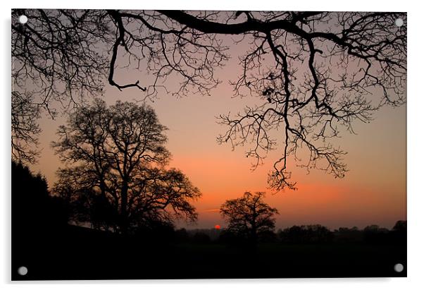 Sunset through the Trees Acrylic by Pete Hemington