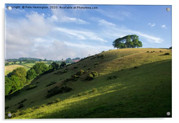 Mid Devon Hills Acrylic by Pete Hemington