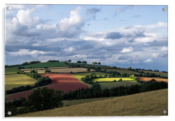 View from Raddon Top Acrylic by Pete Hemington