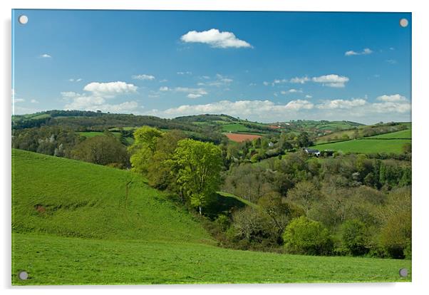 Exe valley in Mid Devon Acrylic by Pete Hemington
