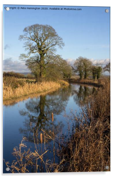 Tiverton Canal Acrylic by Pete Hemington