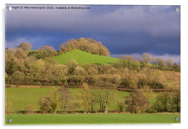 The Exe valley near Bickleigh Acrylic by Pete Hemington