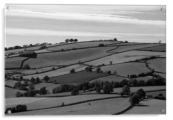 Devon Field pattern Acrylic by Pete Hemington