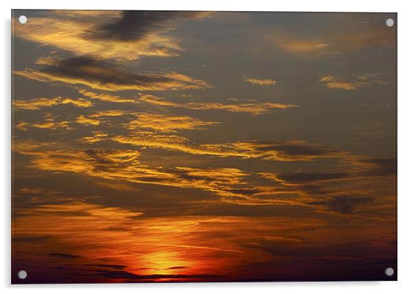 Summer Sunset Acrylic by Darren Burroughs