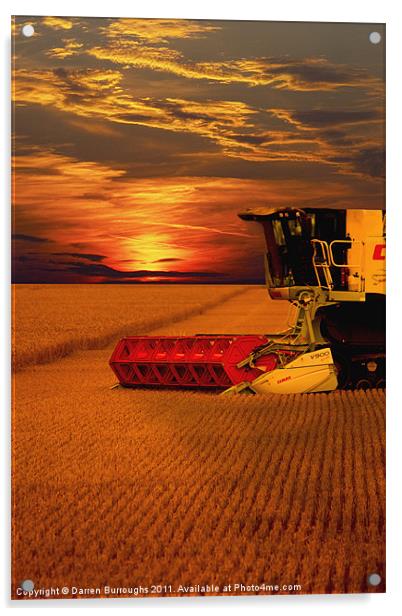 Harvest Summer Sunset Acrylic by Darren Burroughs