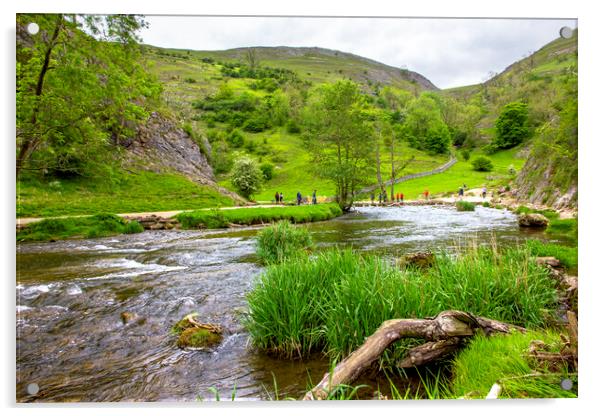 Enjoying a day out at Dovedale Acrylic by Darren Burroughs