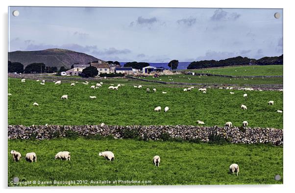 Rowter Farm and Mam Tor Acrylic by Darren Burroughs