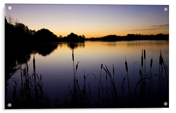 Lake Sunrise Acrylic by Darren Burroughs